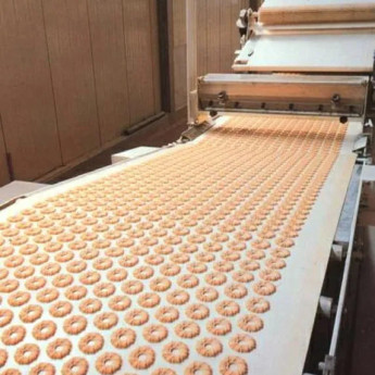 Пищевая лента ПВХ и ПУ <br>под заказ