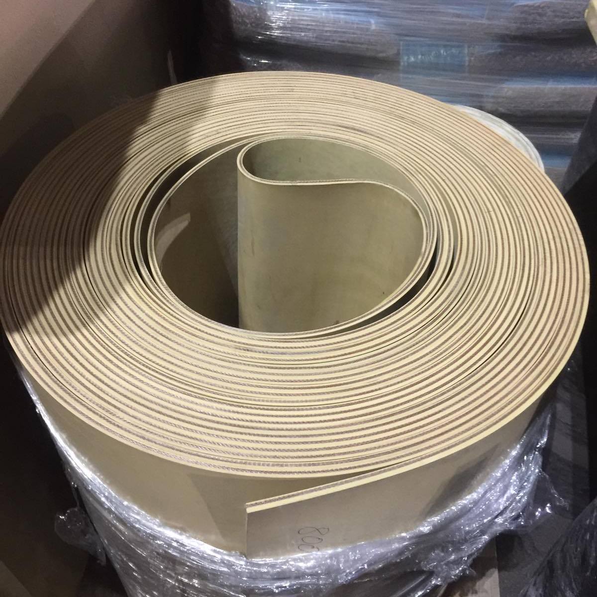 Пищевые ленты